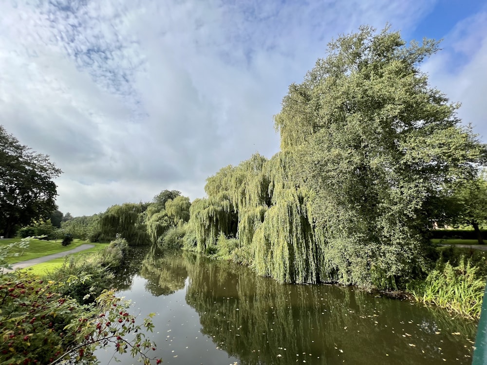 a body of water surrounded by trees and grass