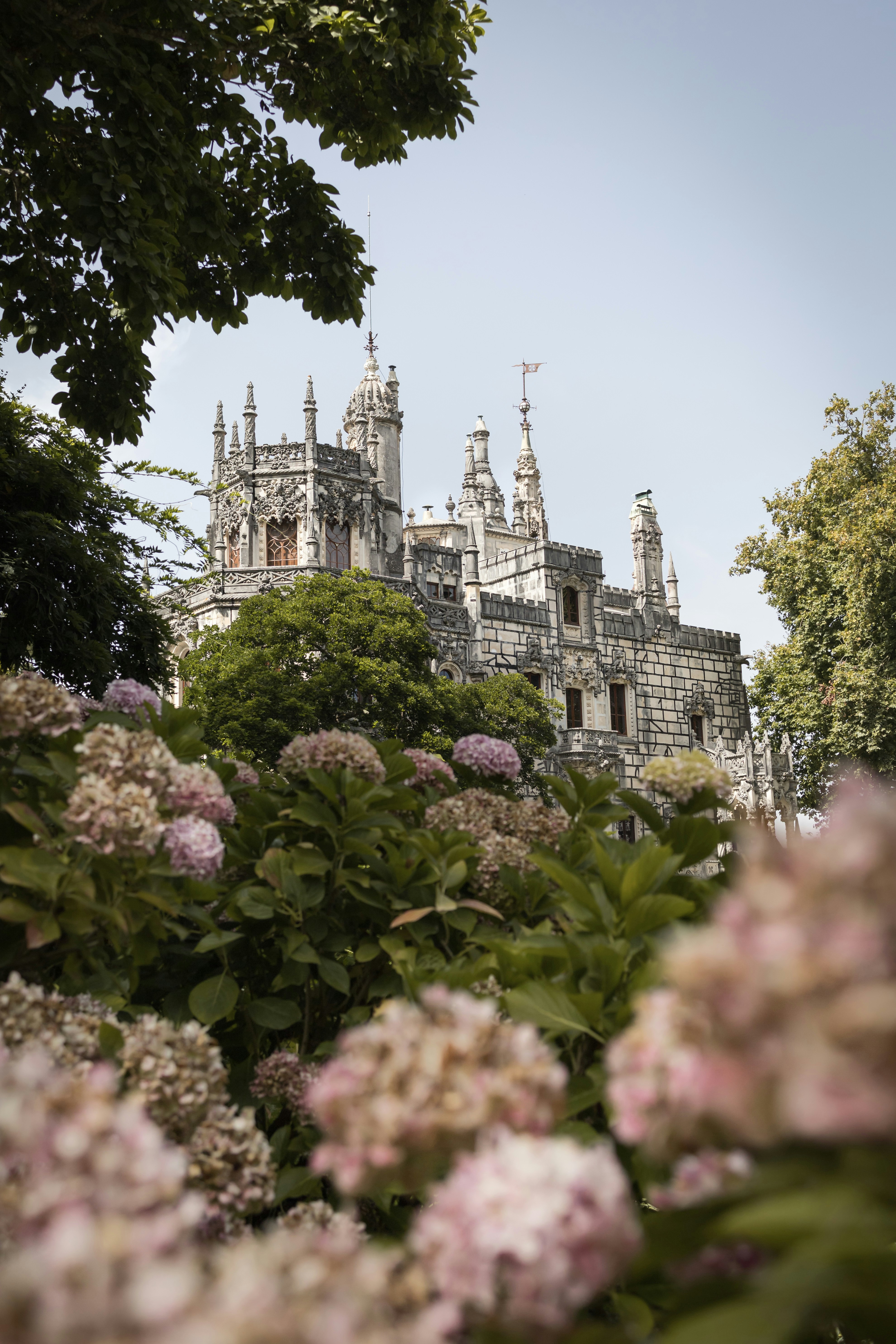 Quinta da Regaleira photo 3