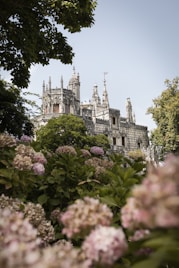 a castle with a lot of flowers in front of it