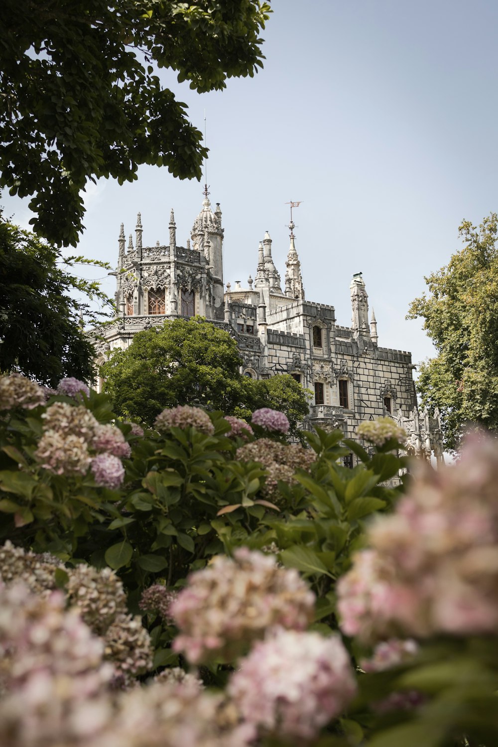 a castle with a lot of flowers in front of it