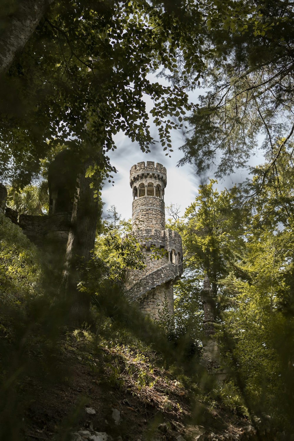 Une haute tour située au sommet d’une forêt verdoyante