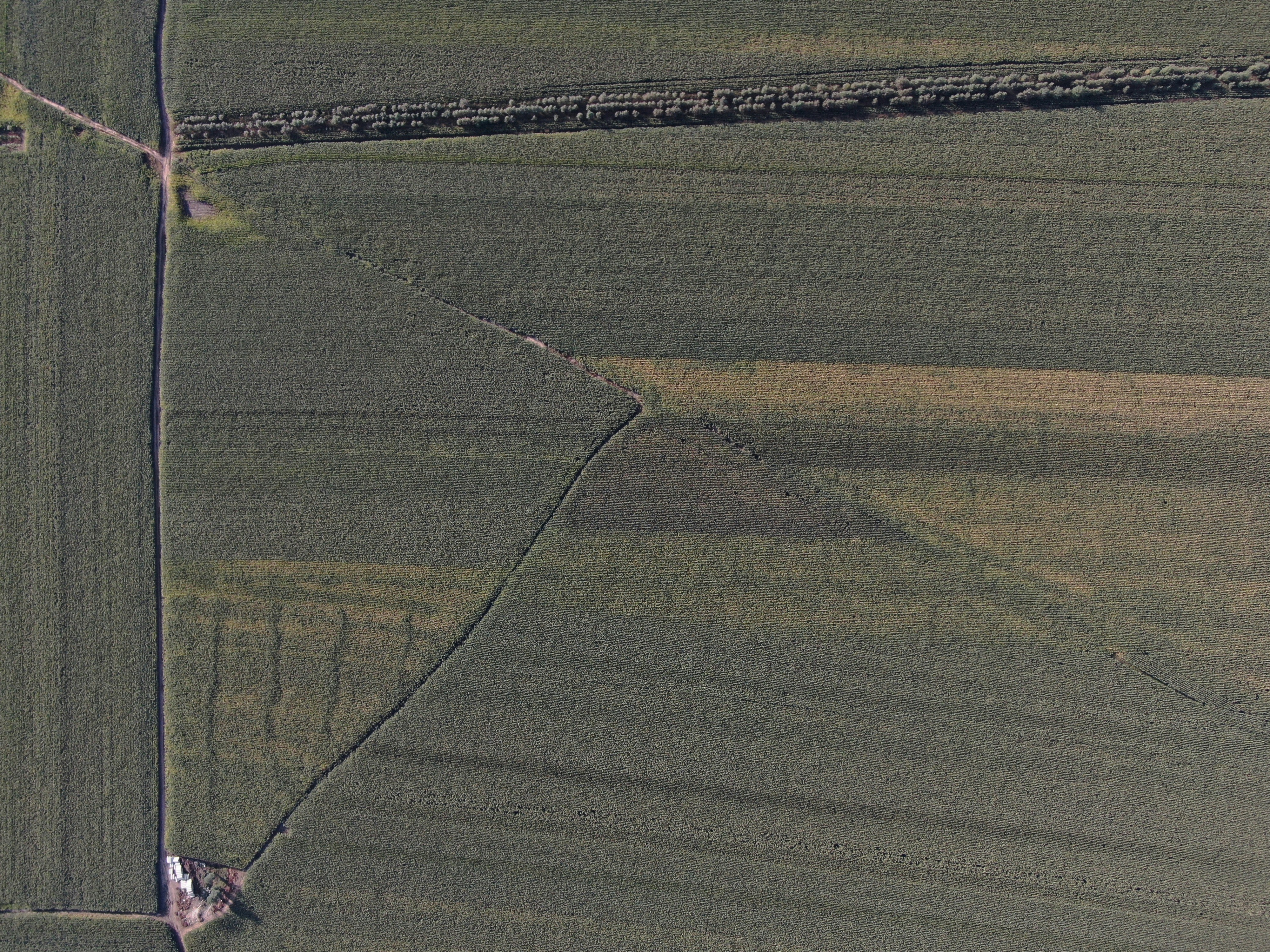 ขายที่ดินสมุทรปราการ