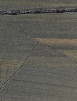 3D terrain model of farmland shown on a computer screen in an office setting.