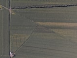 An aerial view of expansive farmland with rectangular fields separated by narrow paths and a line of trees. The land is primarily green, indicating crops at some stage of growth, with variations in shading suggesting different crop types or planting stages.