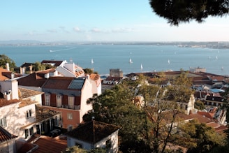 a view of a body of water from a hill