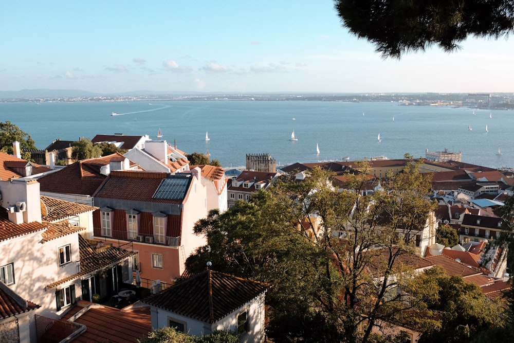 una vista di uno specchio d'acqua da una collina