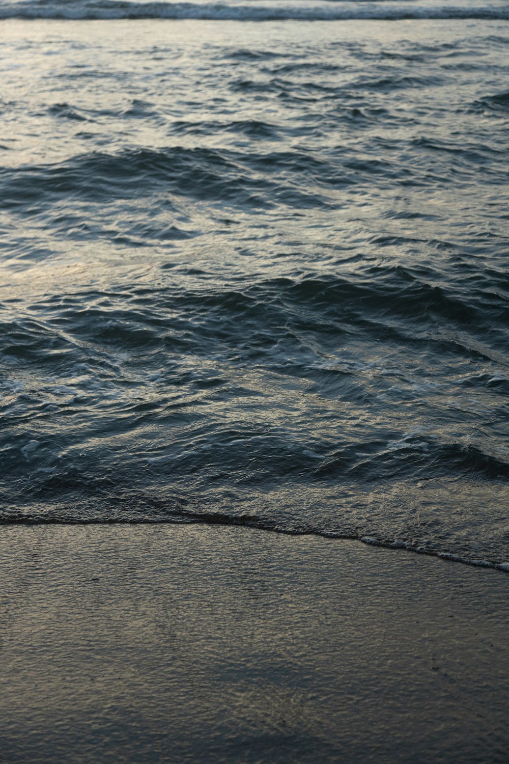 a bird is standing on the edge of the water