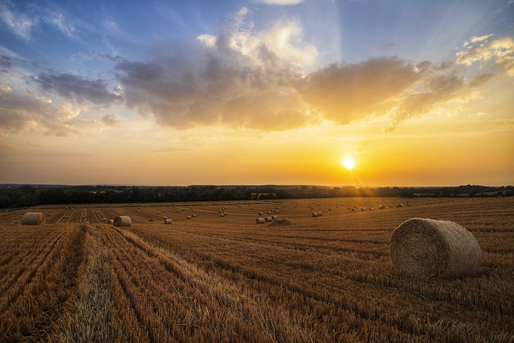 a field with hay bales at sunset