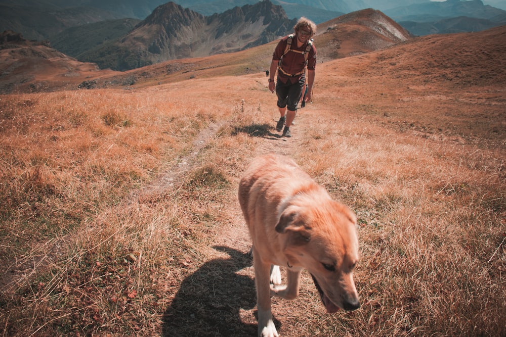 a man walking a dog on a trail in the mountains