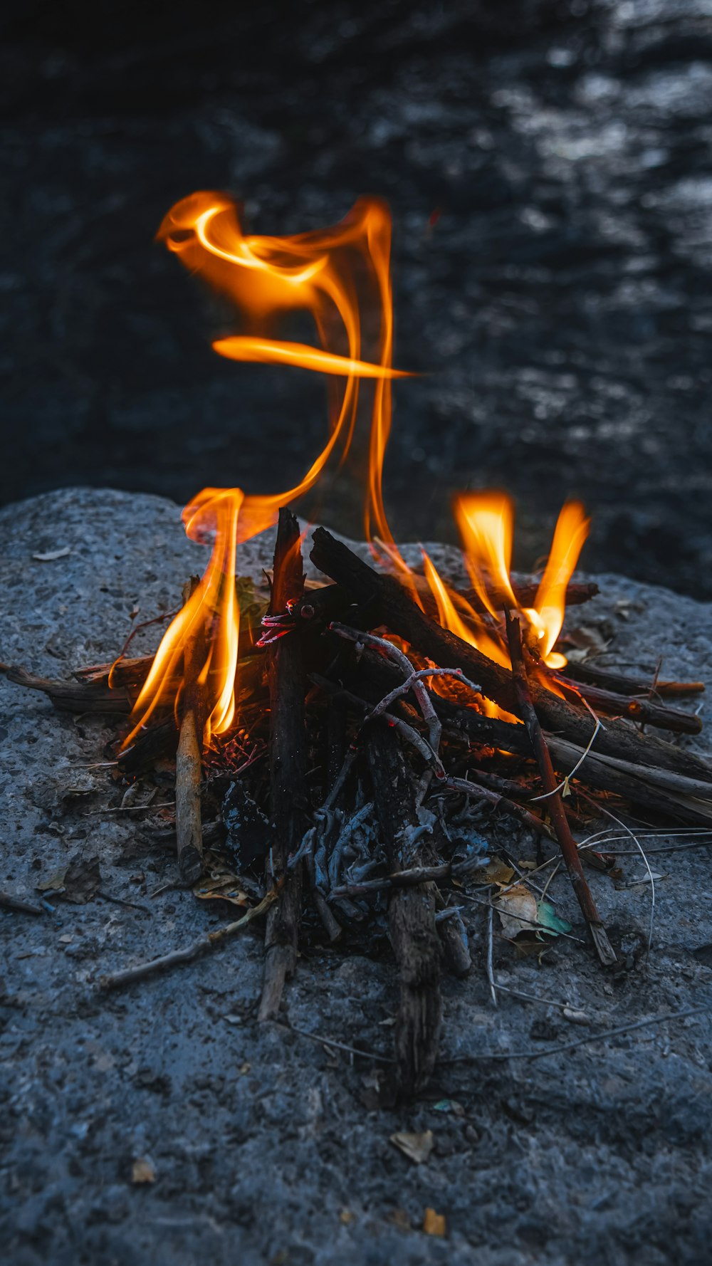 a close up of a fire on a rock near water