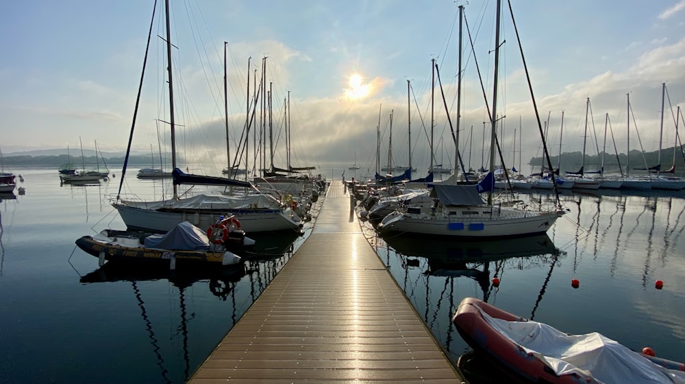 a dock with many sailboats in the water