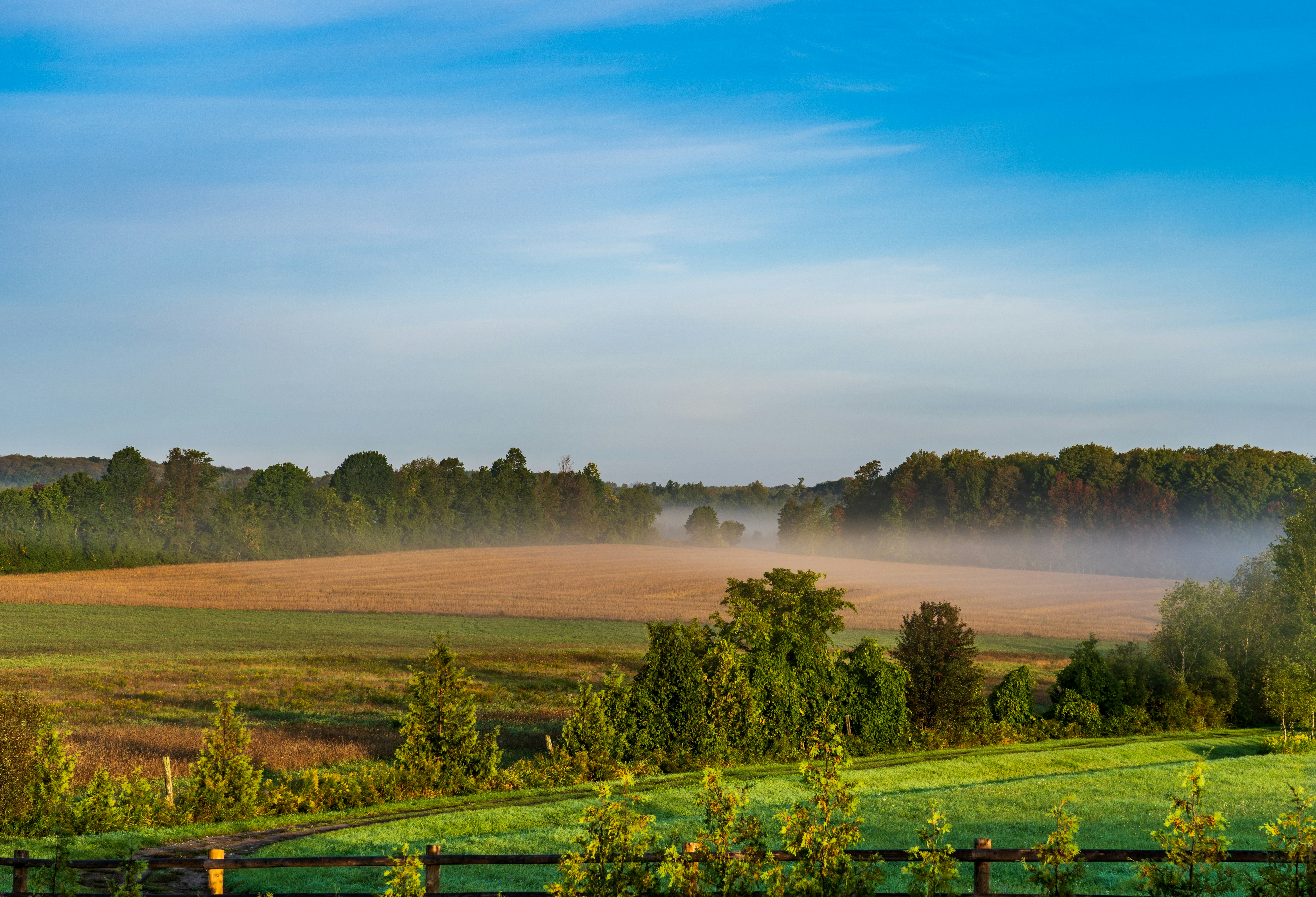 Foggy morning in farm country
