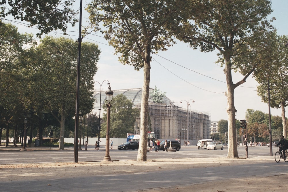 a man riding a bike down a street next to tall trees