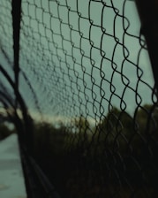 Close-up of a mesh fence with a privacy screen blending into a garden setting.