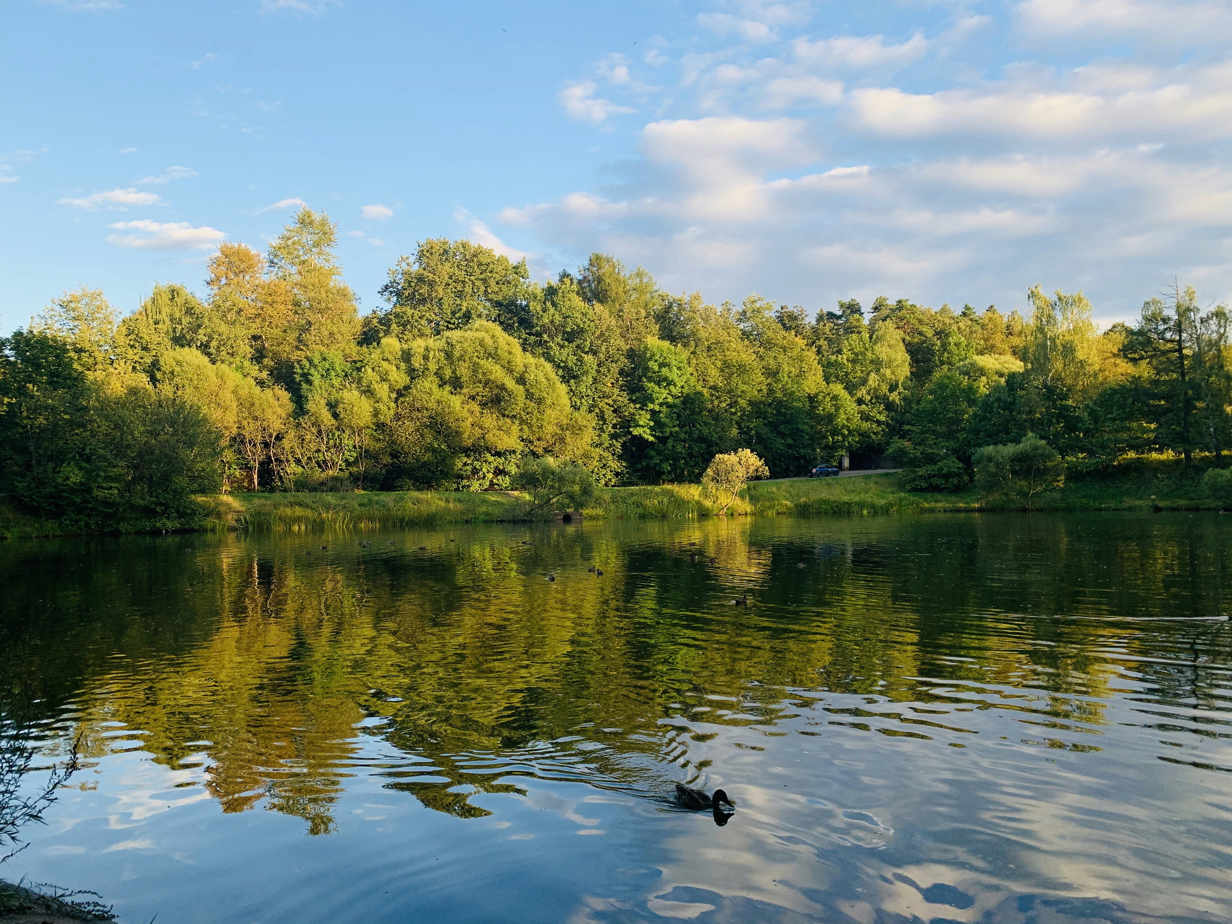 Photo by miwudexiaoyugan