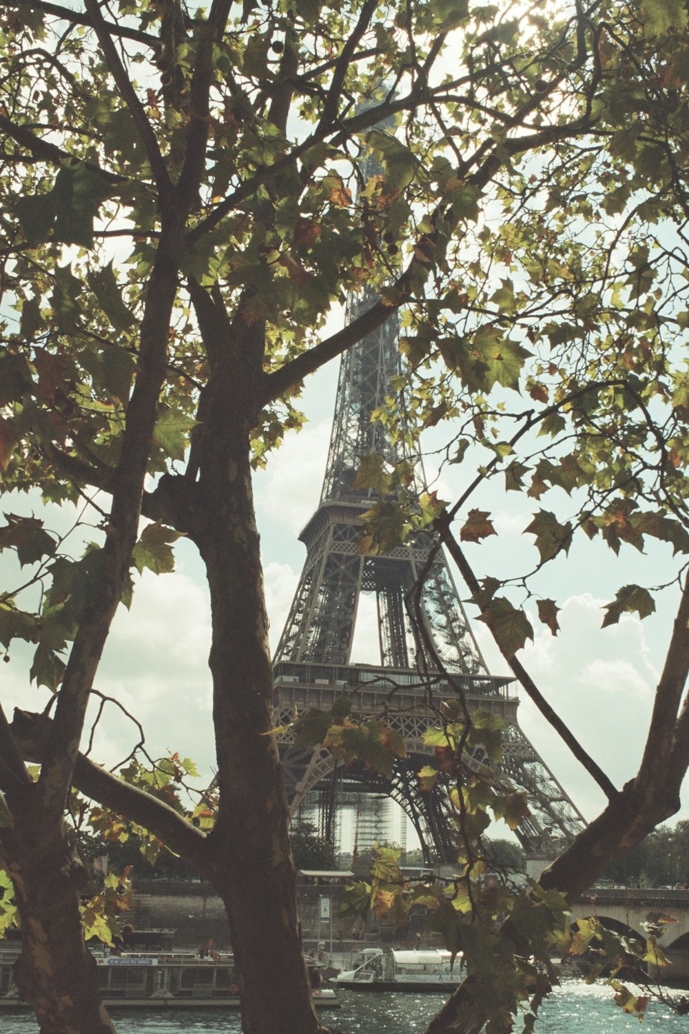 a view of the eiffel tower through the trees