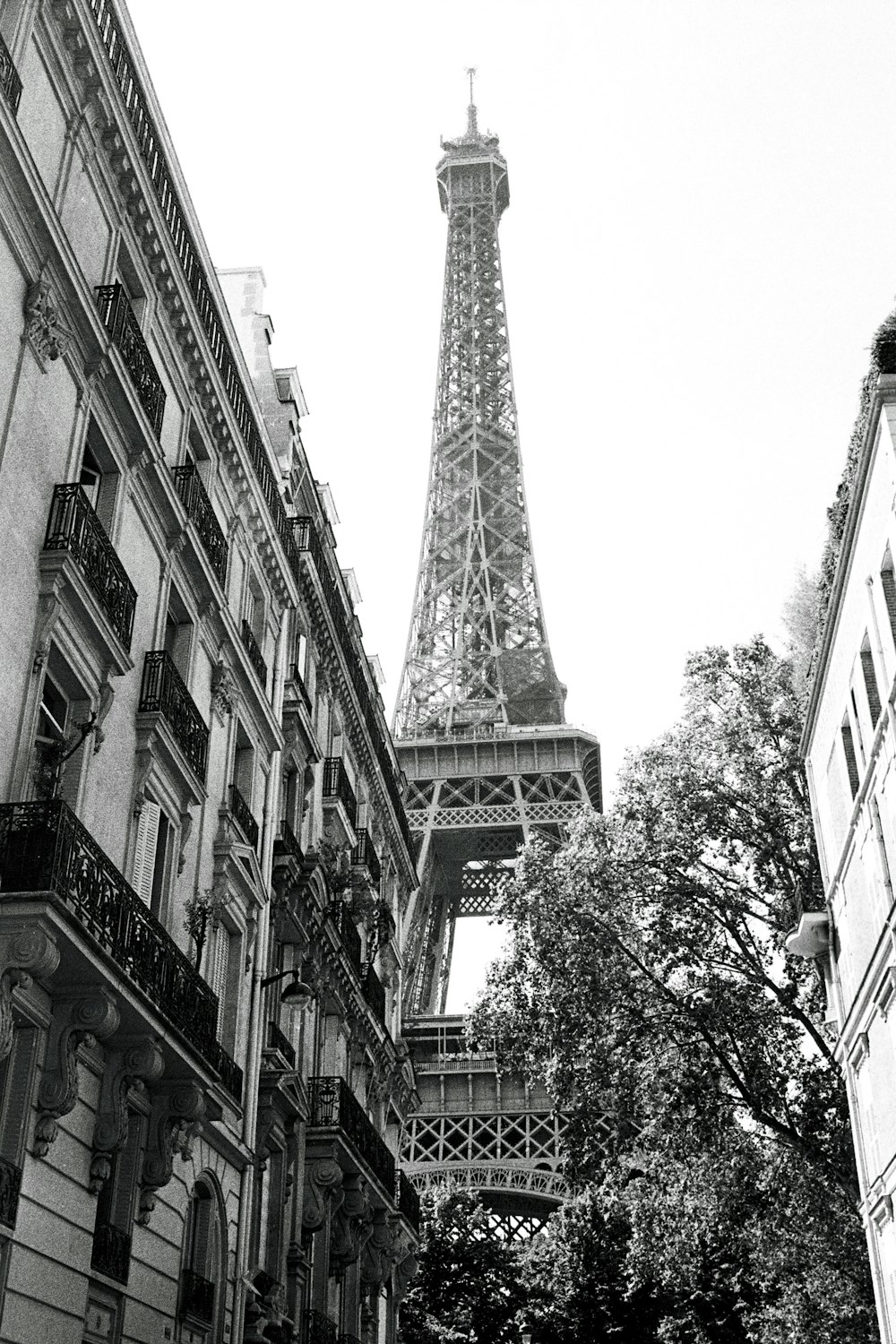 a black and white photo of the eiffel tower