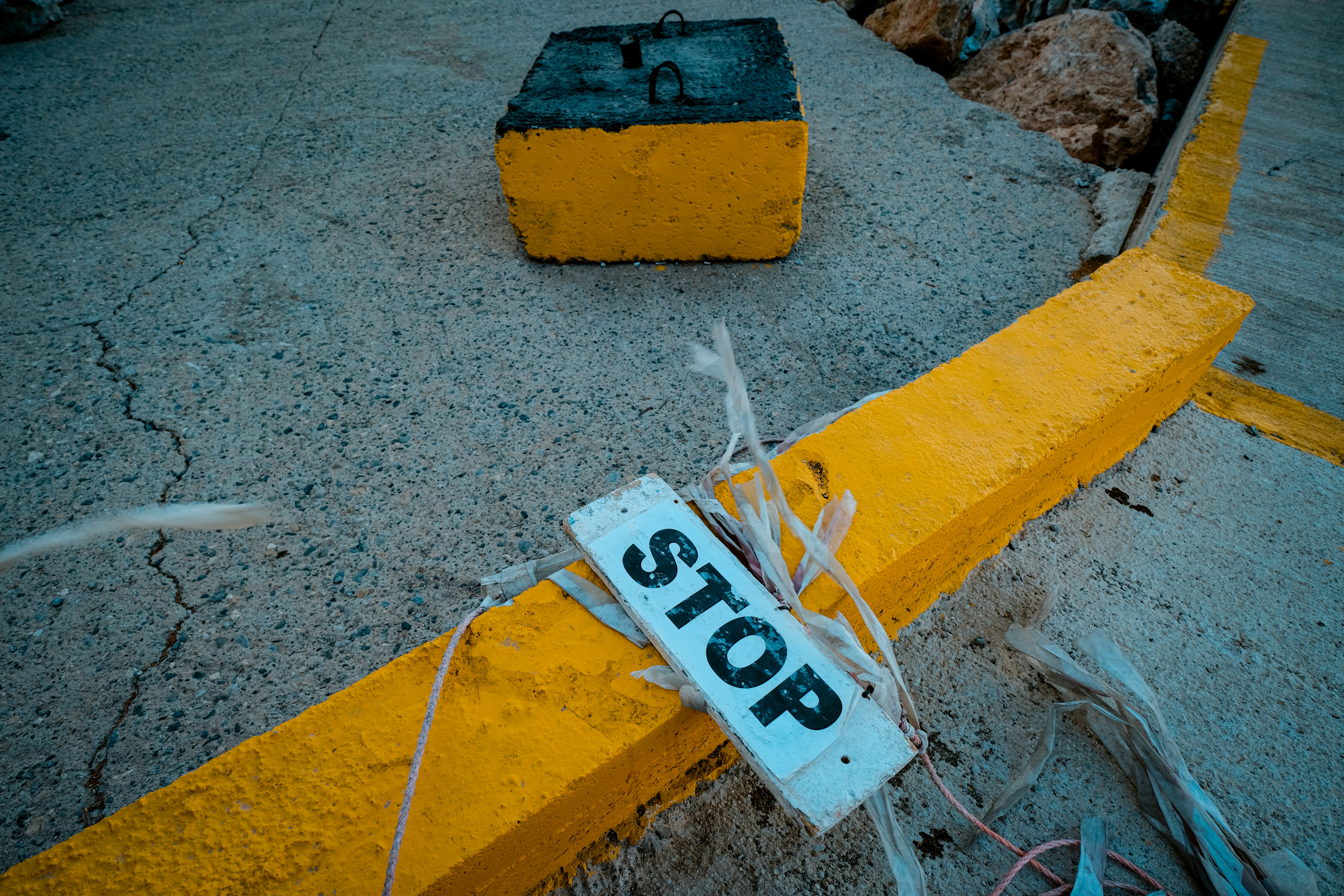 Photo by francesco_ungaro