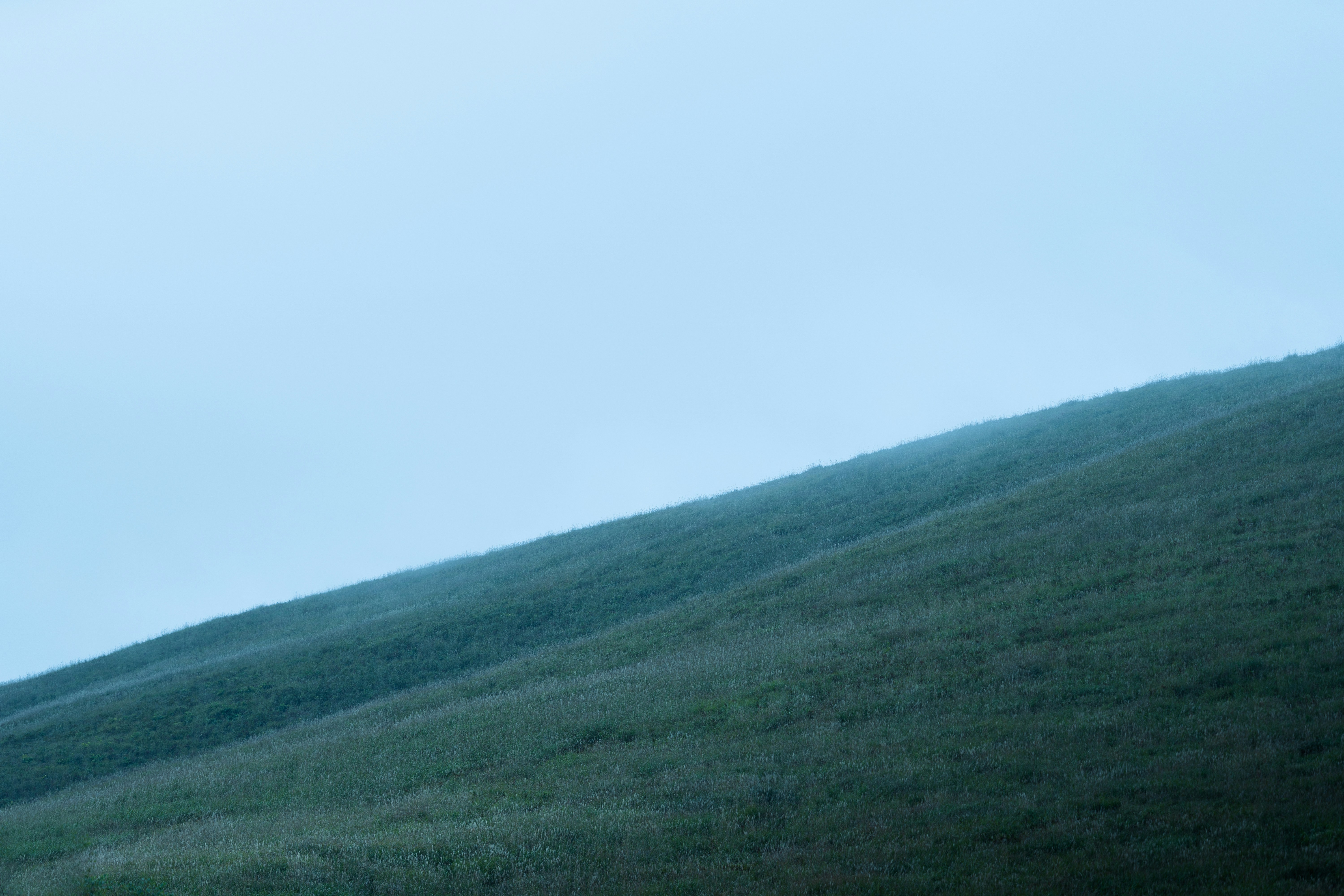 Photo by milestogobeforeisleep