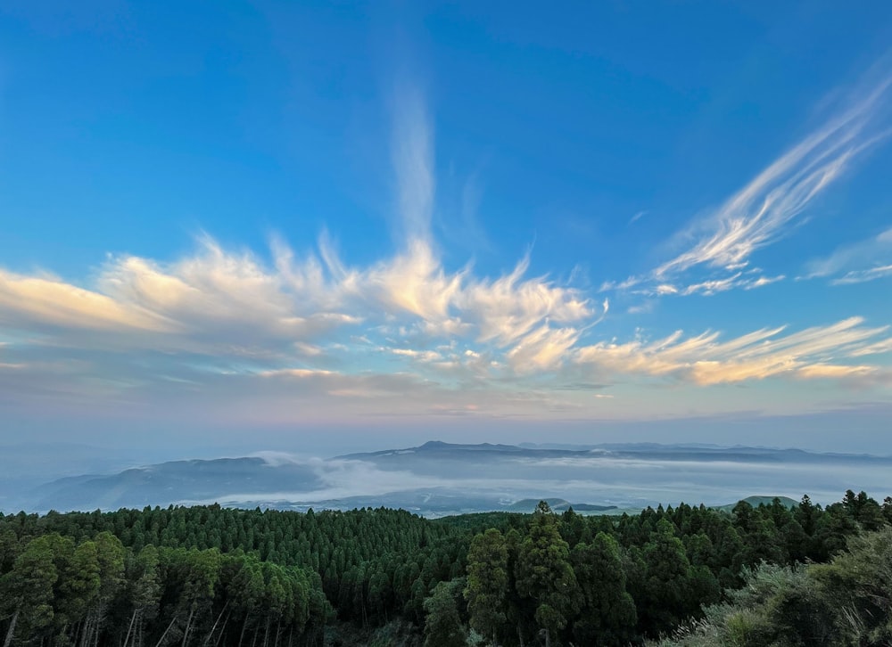 a view of a forest with clouds in the sky