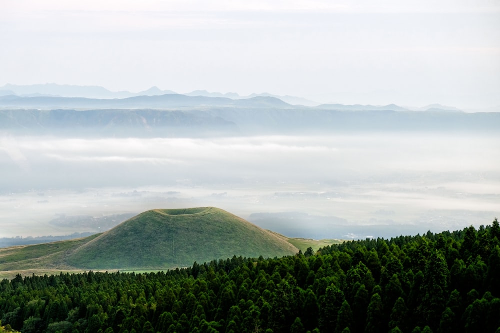 a view of a mountain with trees and fog