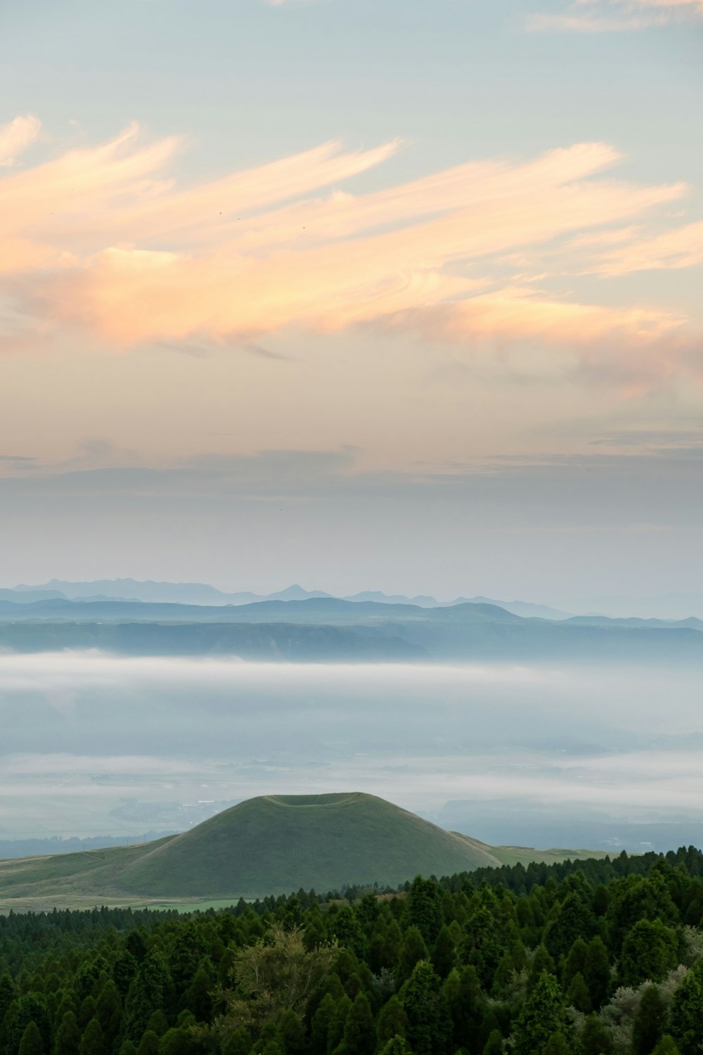 a view of a hill with a forest below