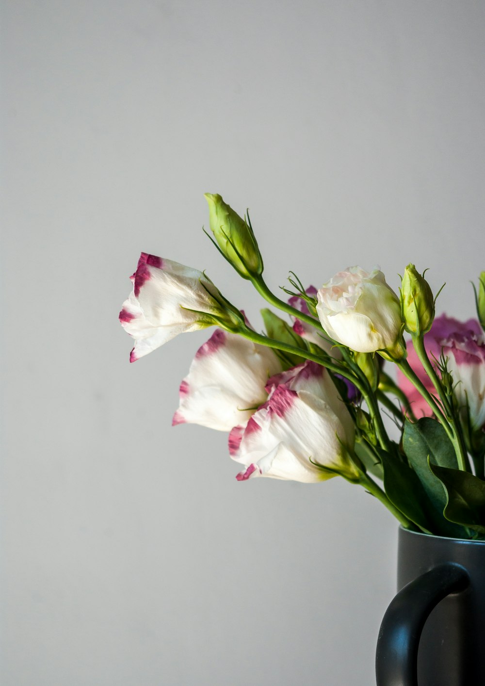 a black vase with white and pink flowers in it