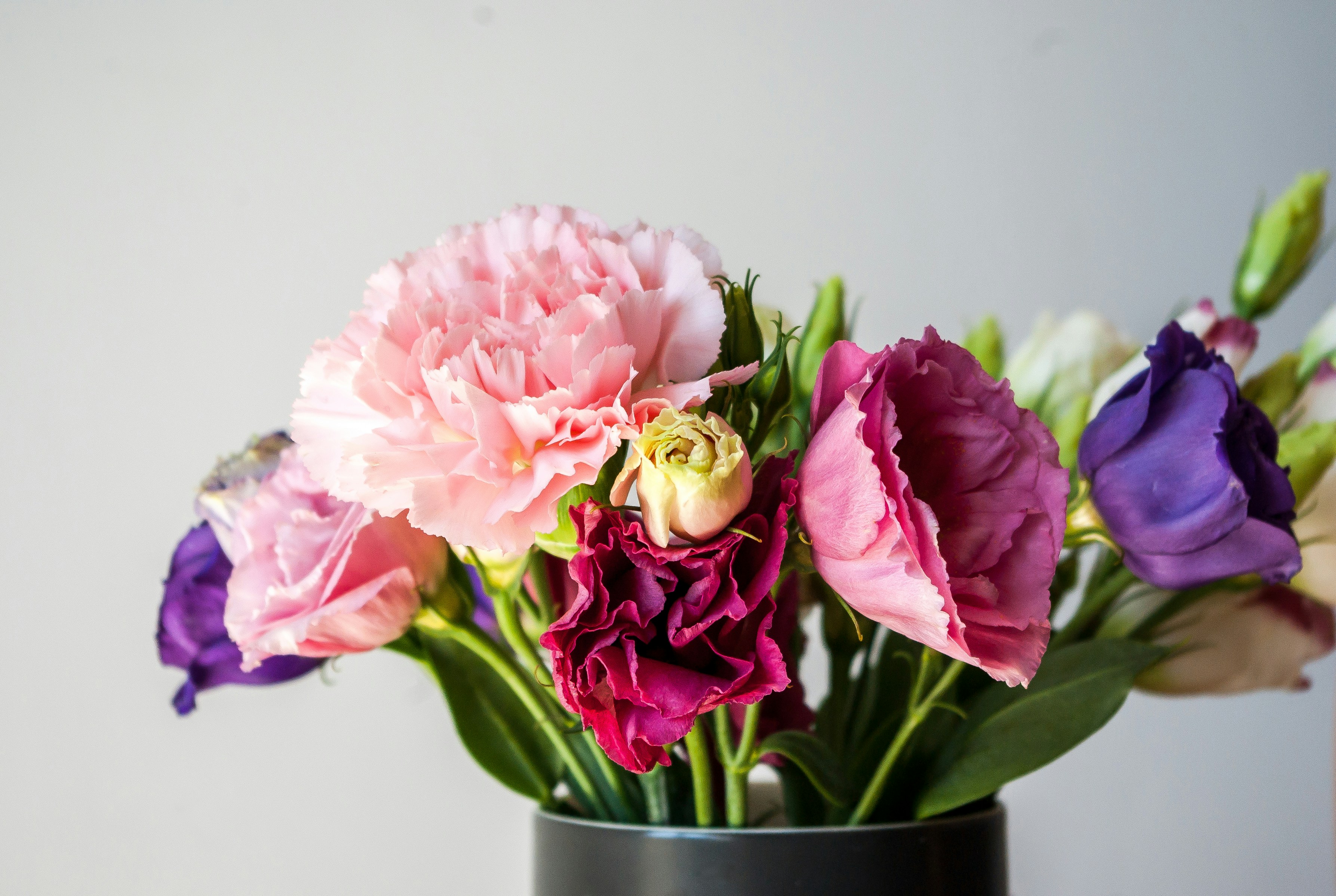 Photo by moonmoons_days