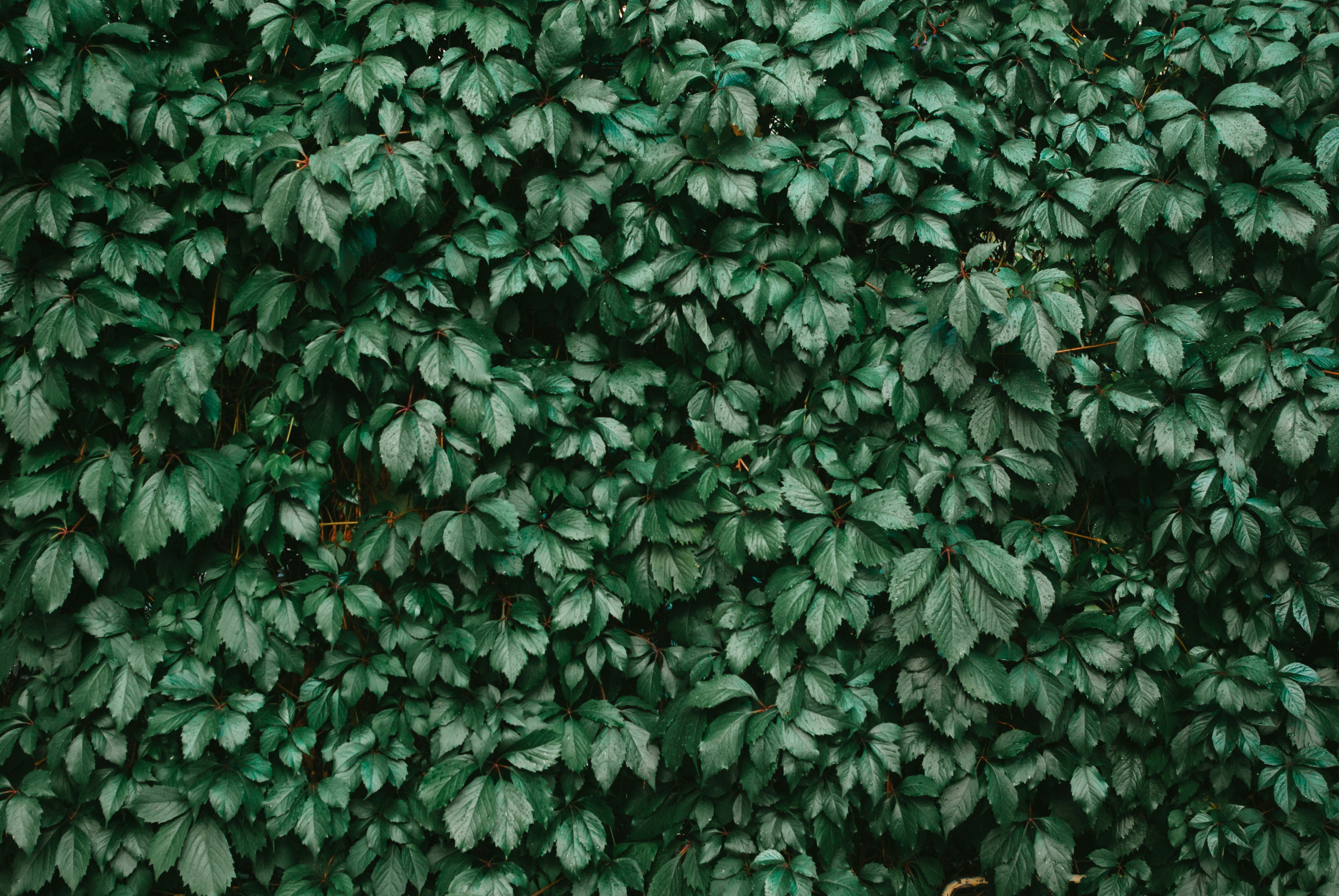 Photo by moonmoons_days