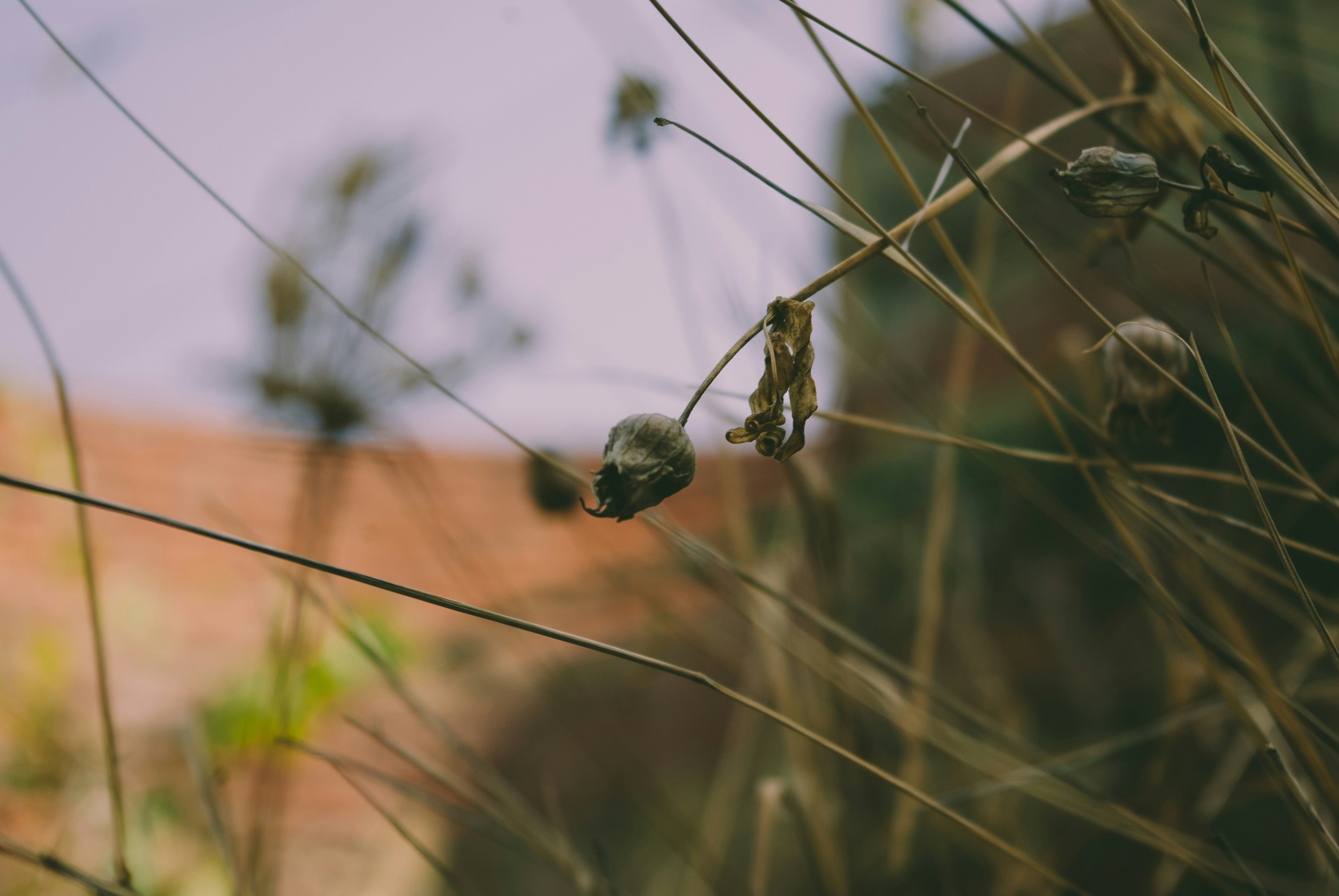 Photo by moonmoons_days