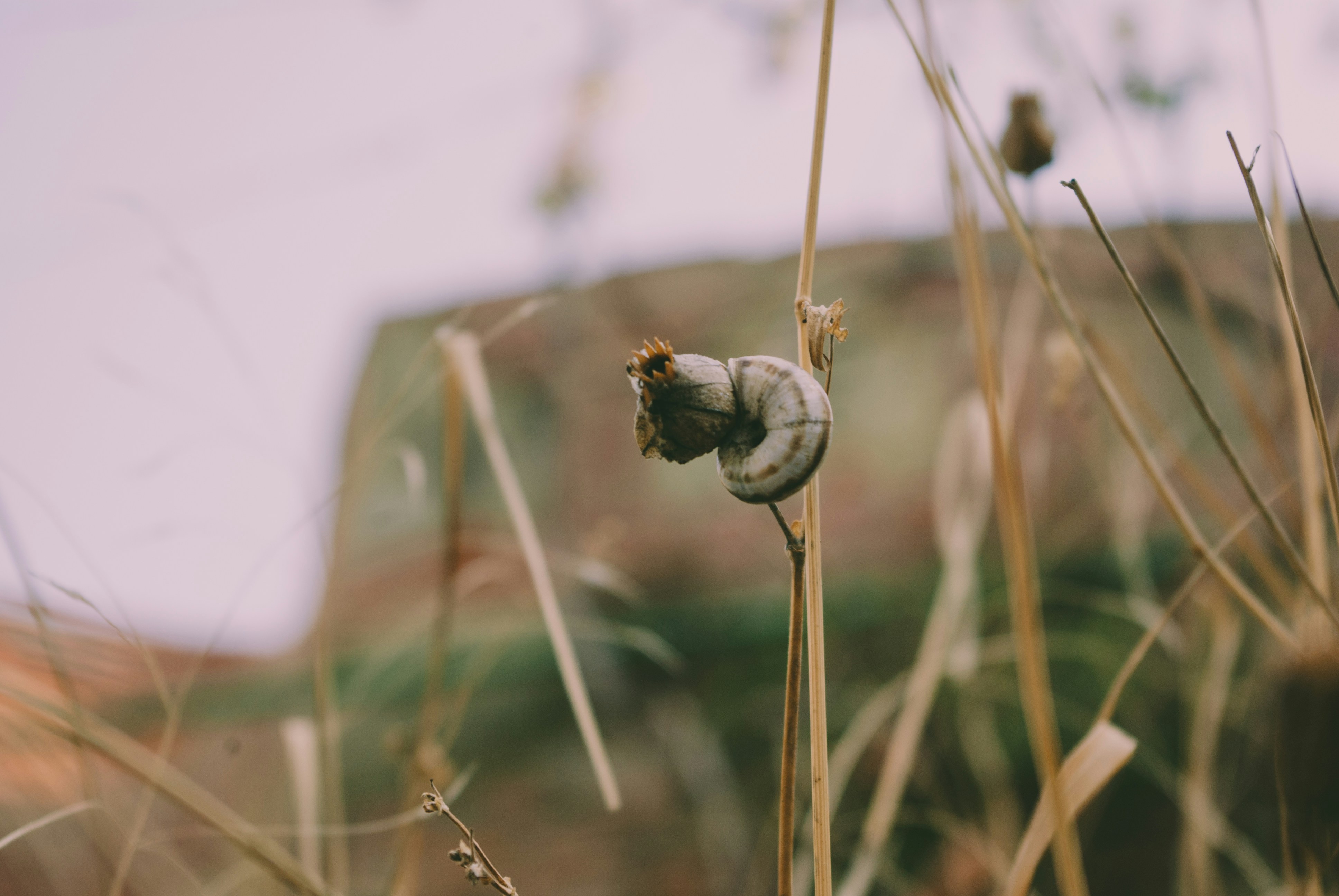 Photo by moonmoons_days