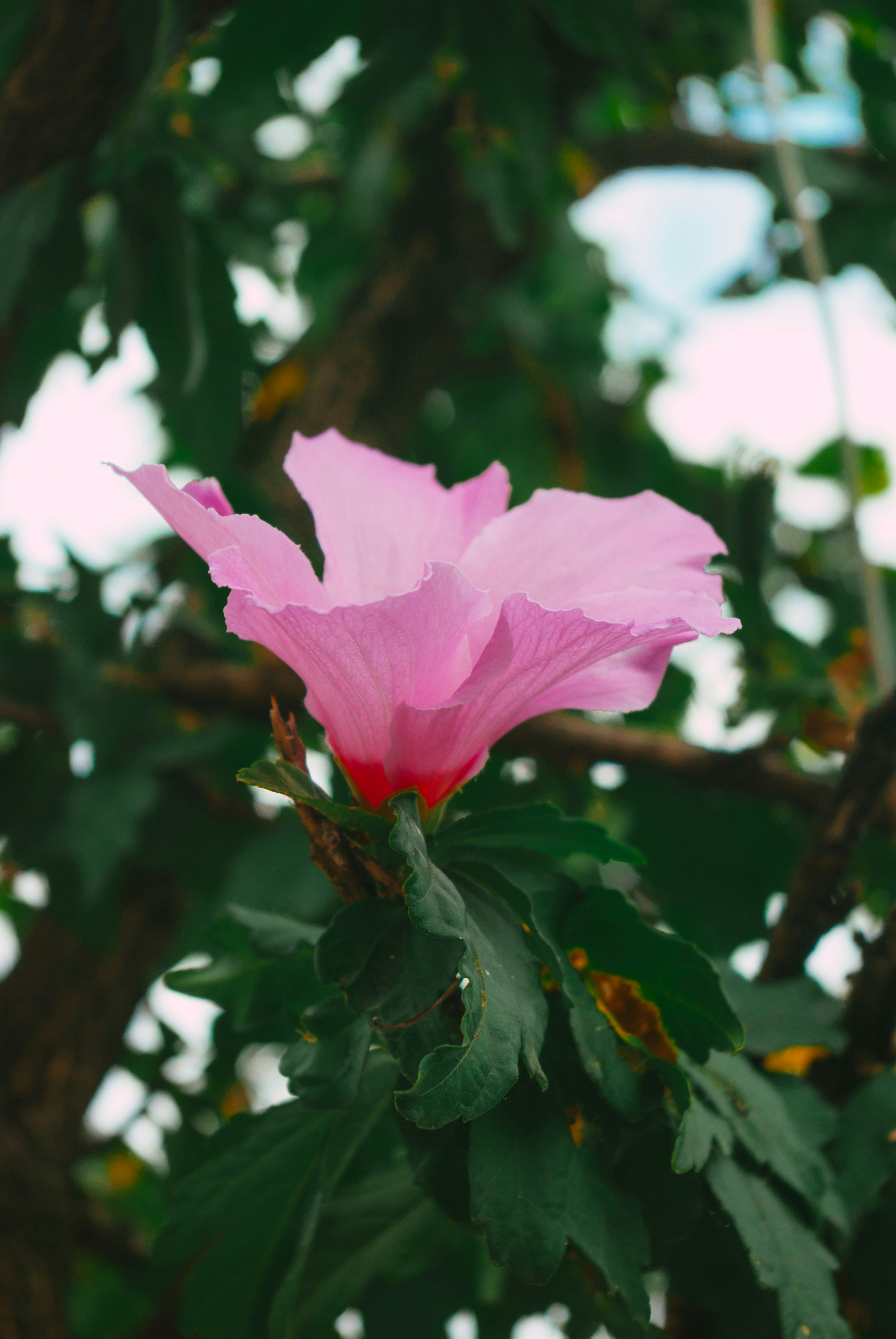 Photo by moonmoons_days