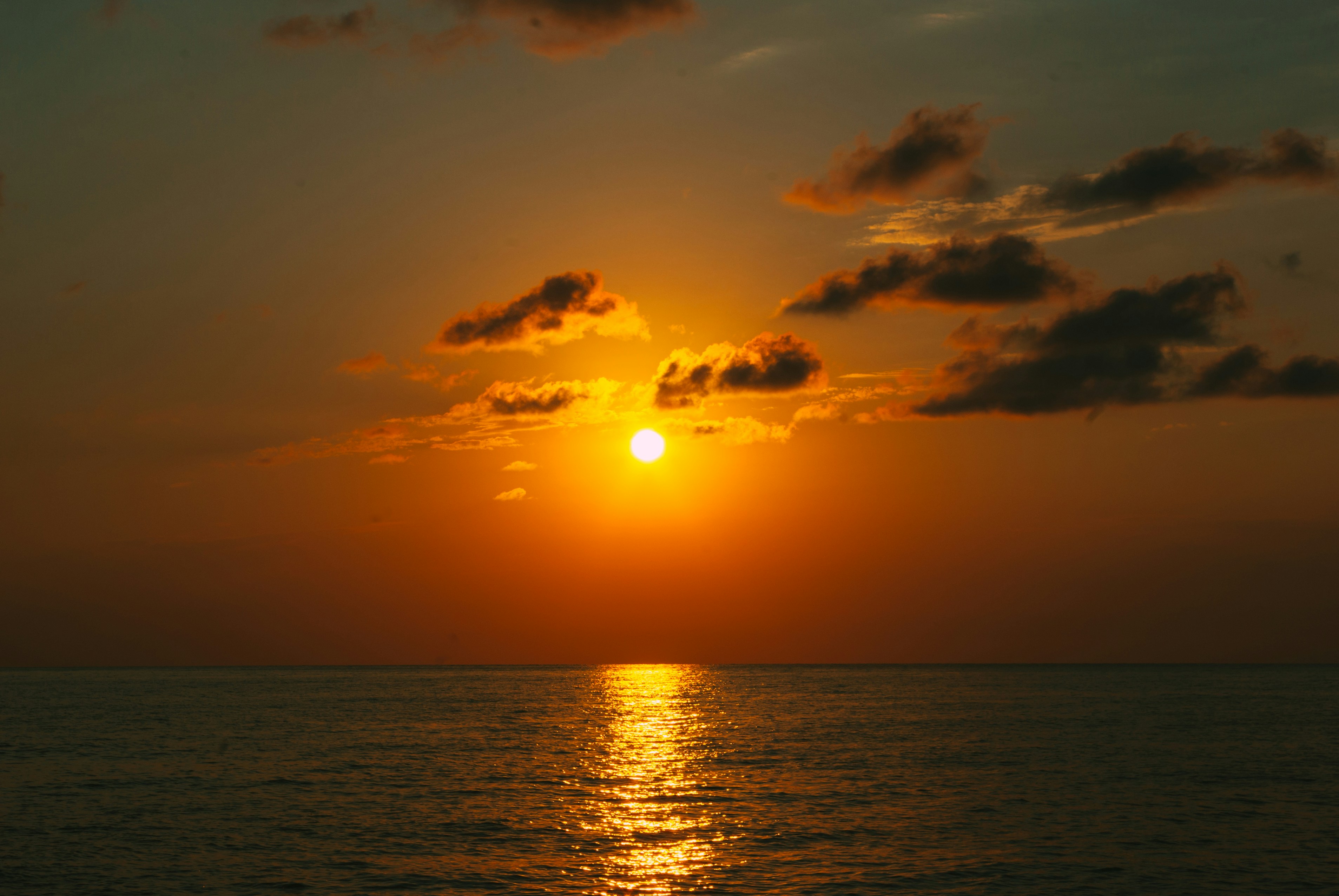 Photo by moonmoons_days