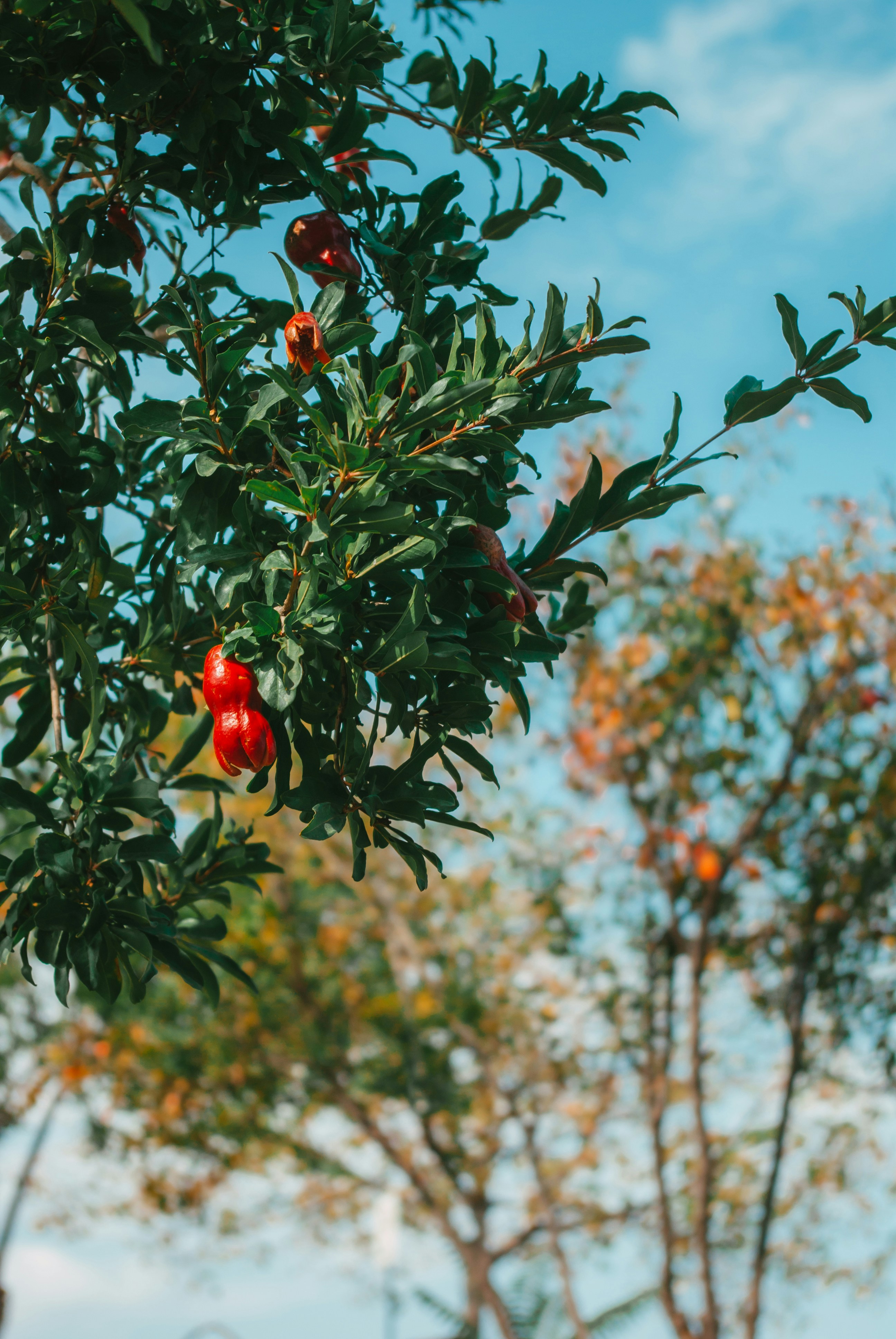 Photo by moonmoons_days