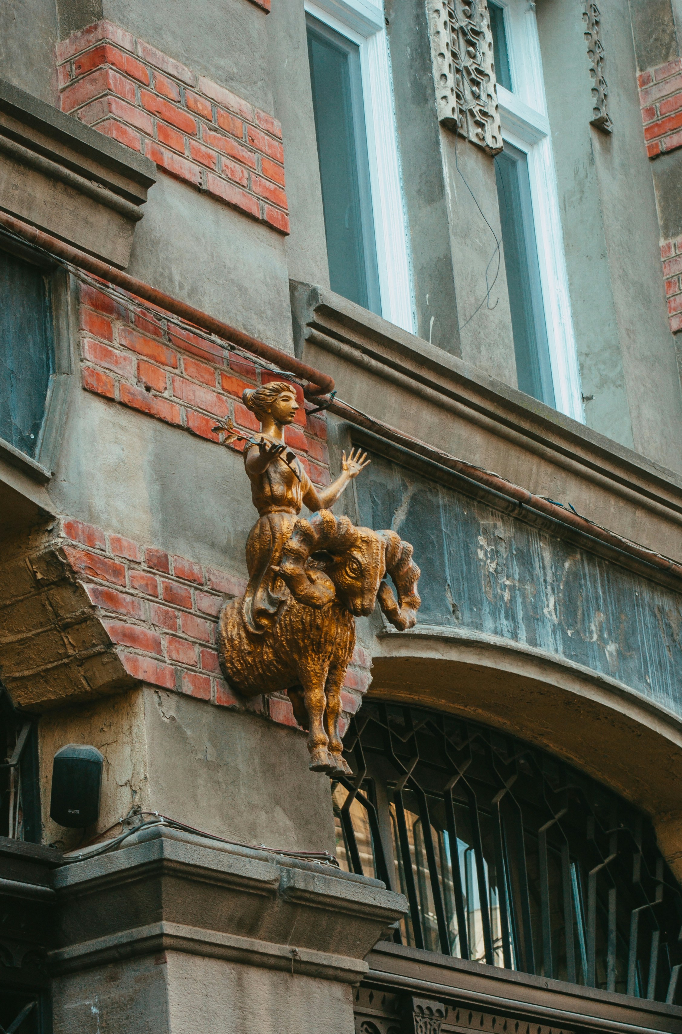 Photo by moonmoons_days