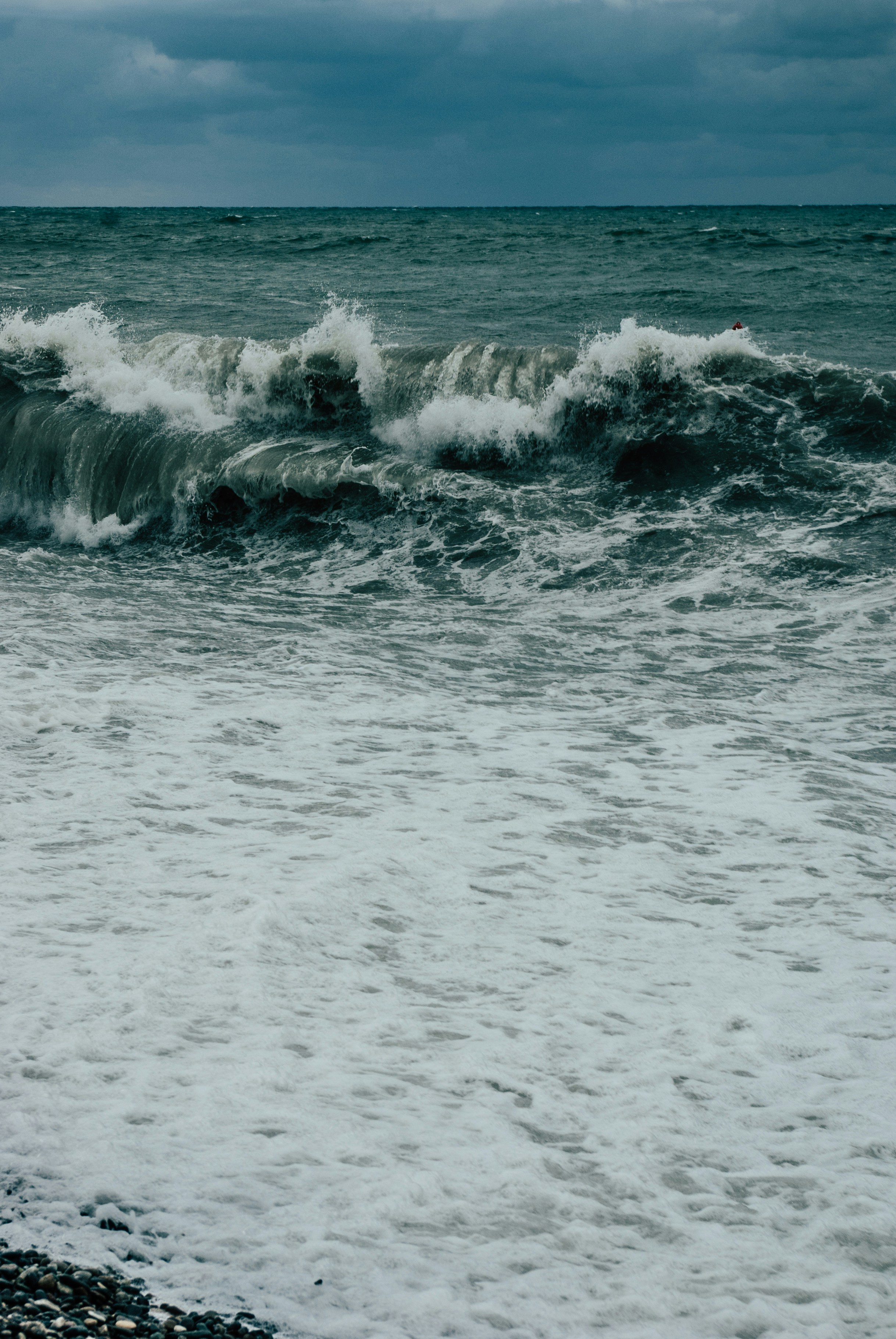 Photo by moonmoons_days