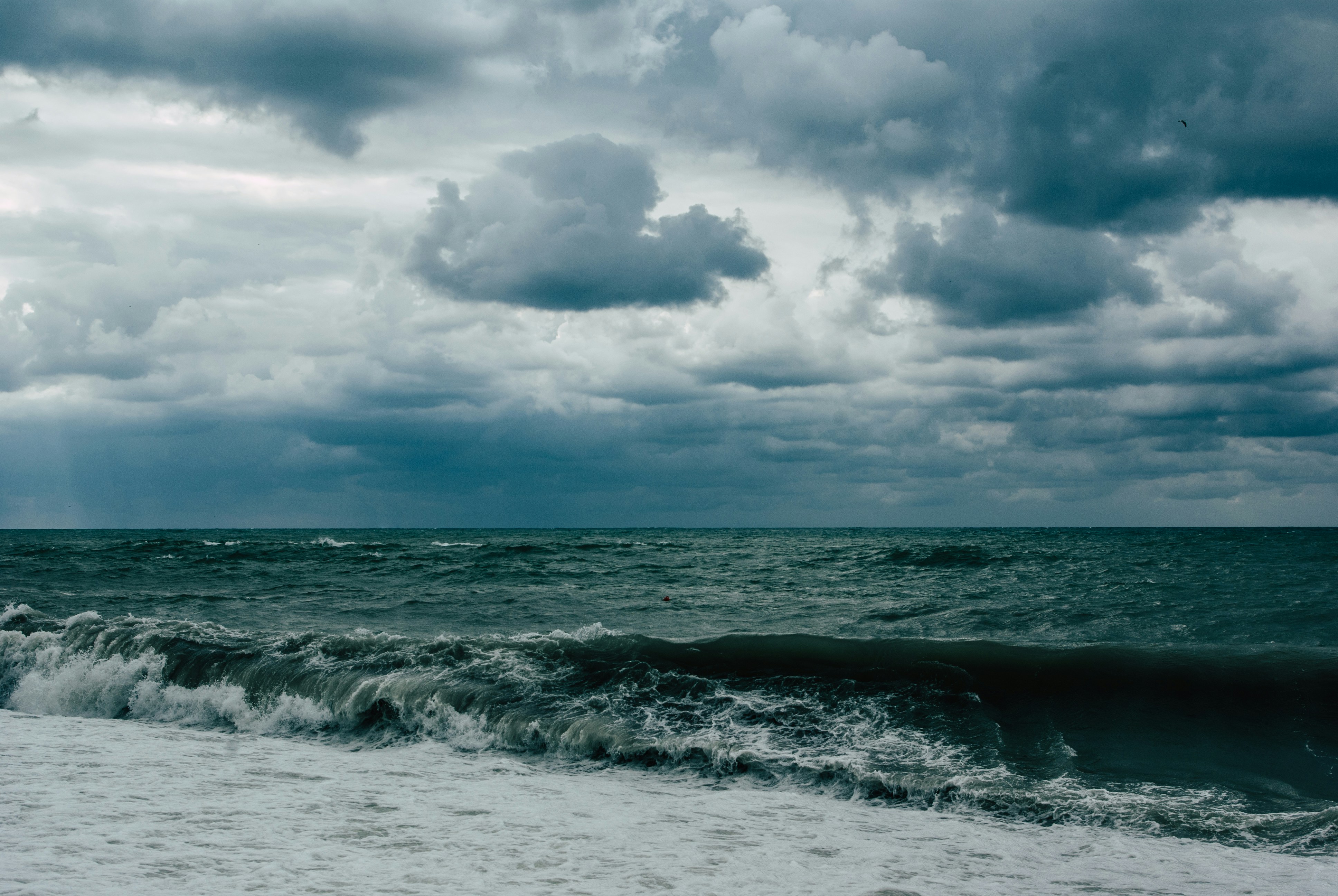 Photo by moonmoons_days