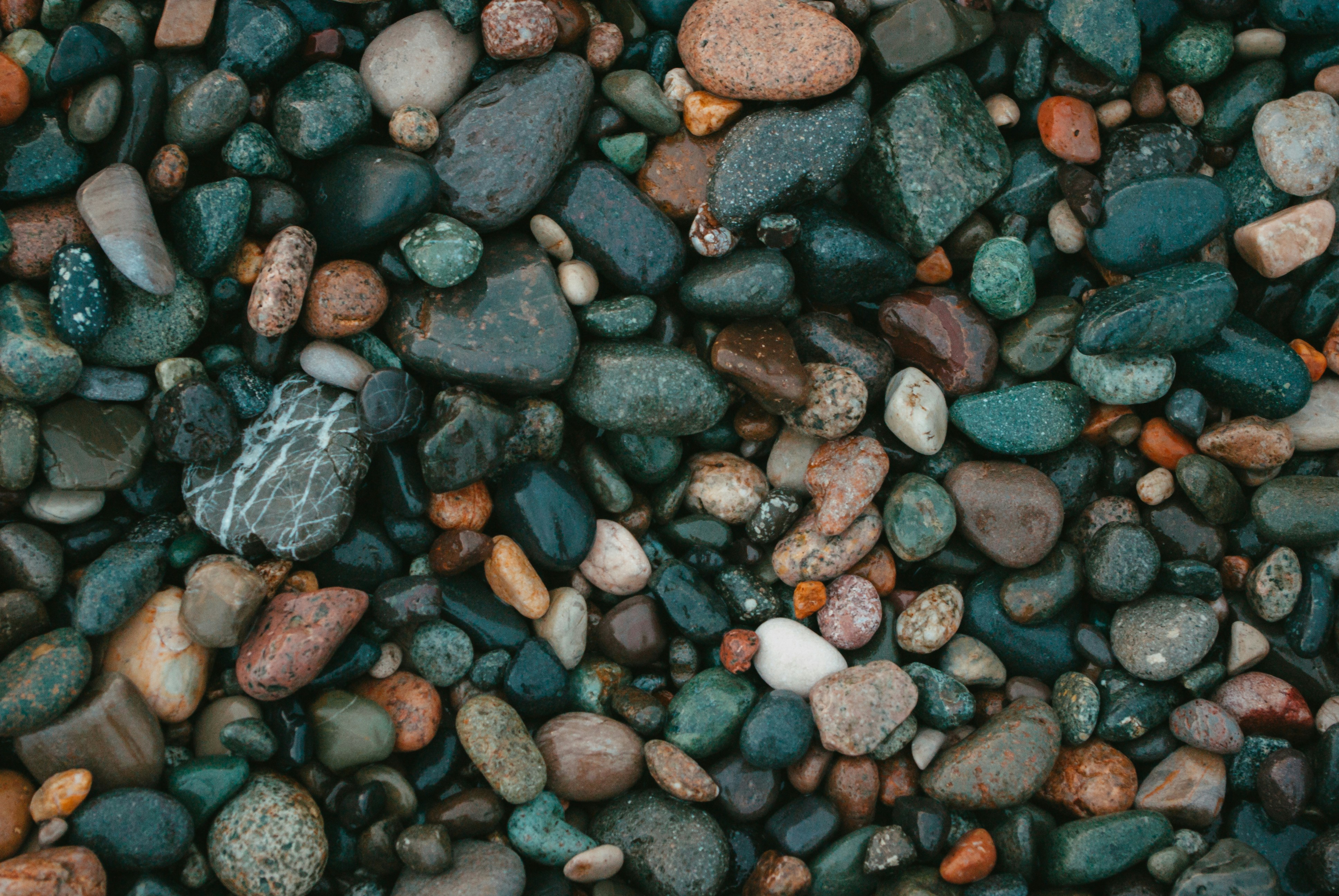 Photo by moonmoons_days