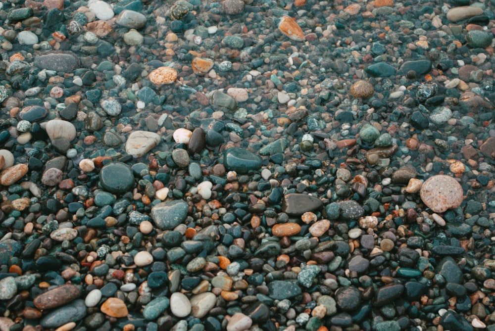 a bunch of rocks that are on the ground