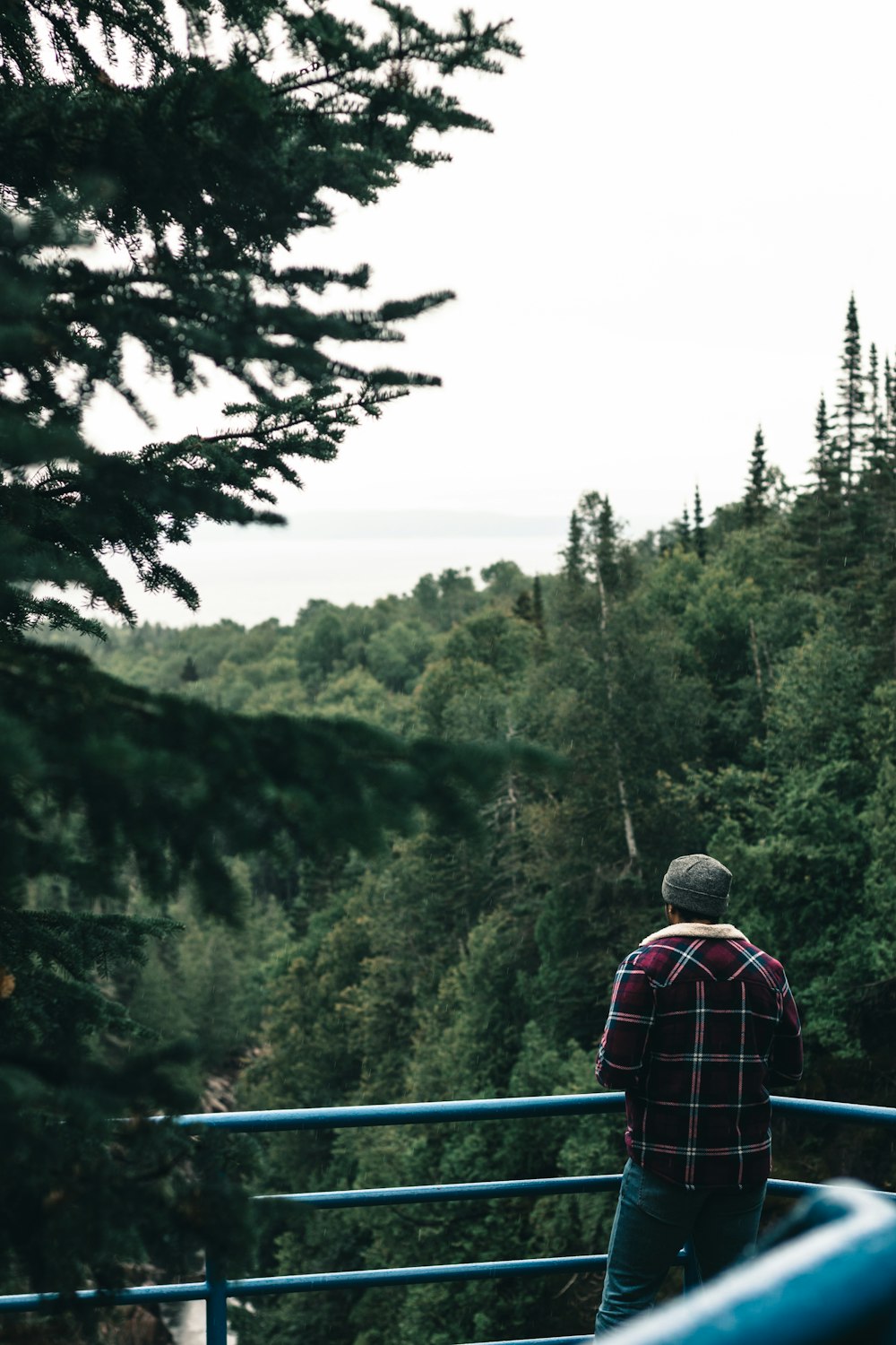 a man standing on top of a bridge next to a forest