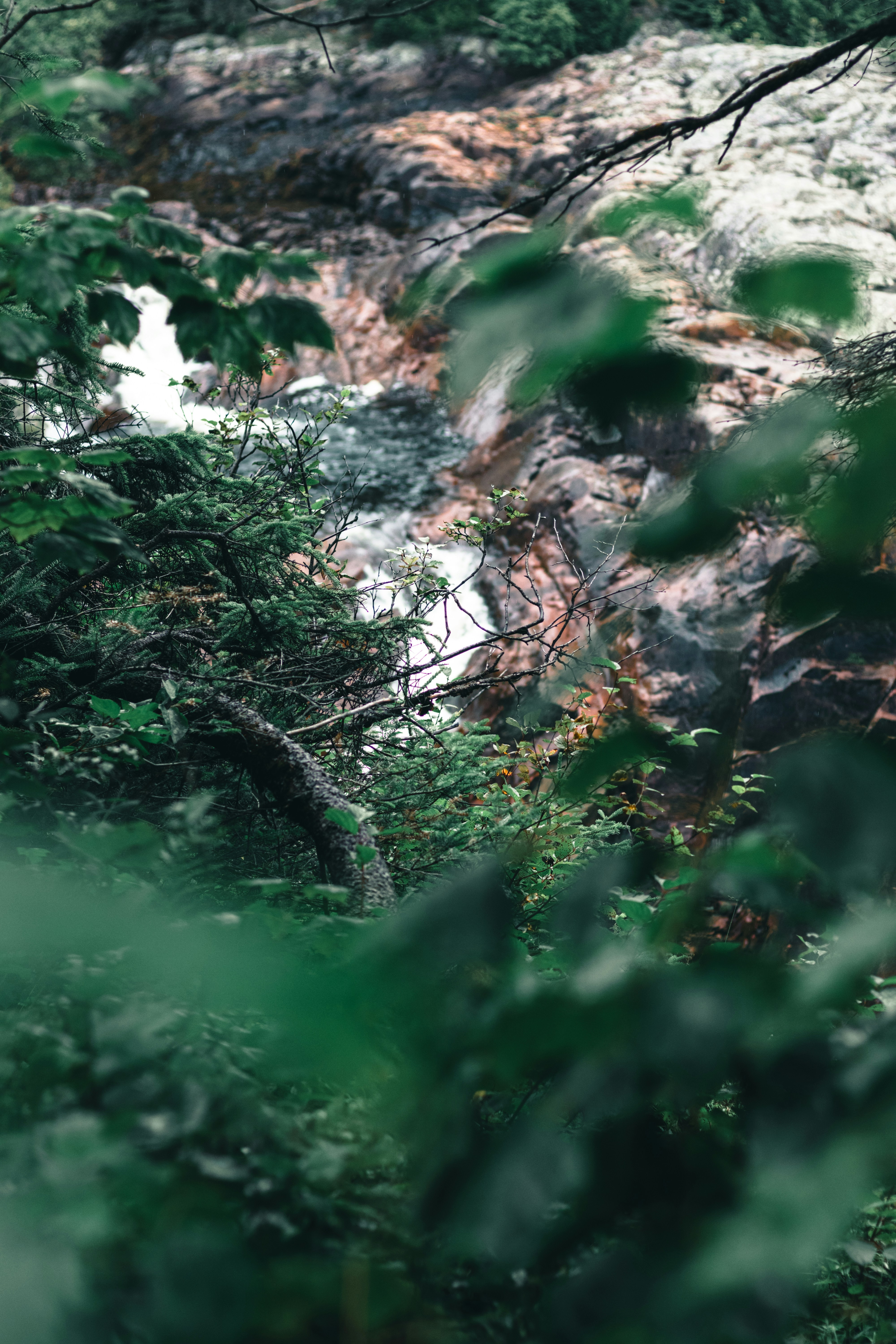 Photo by lureofadventure