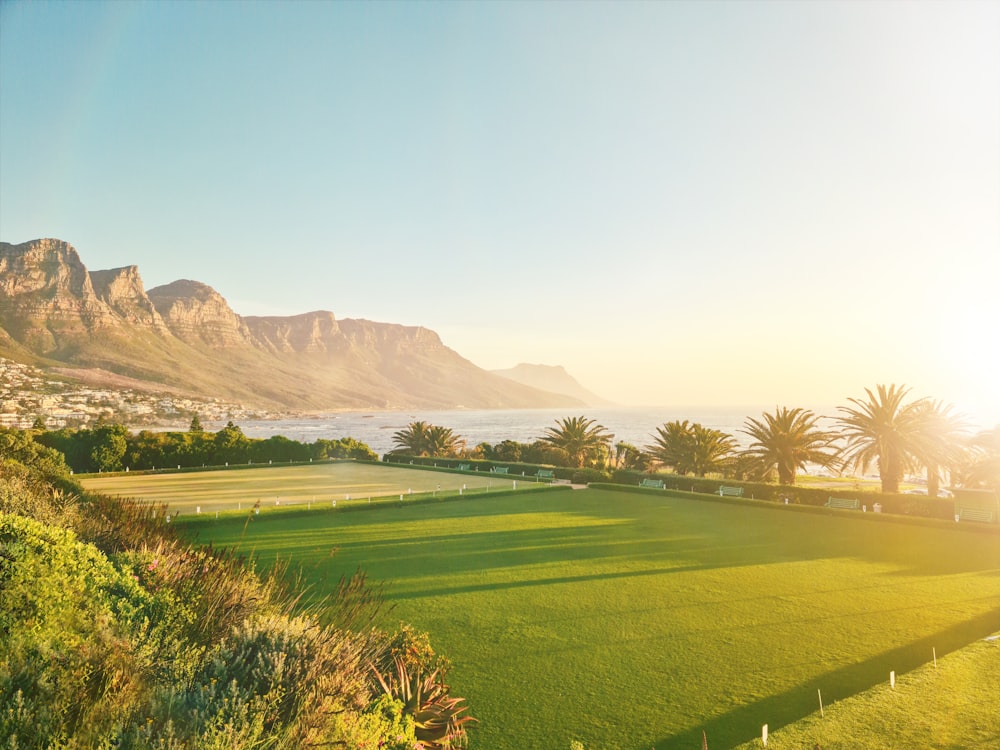 a lush green field with mountains in the background