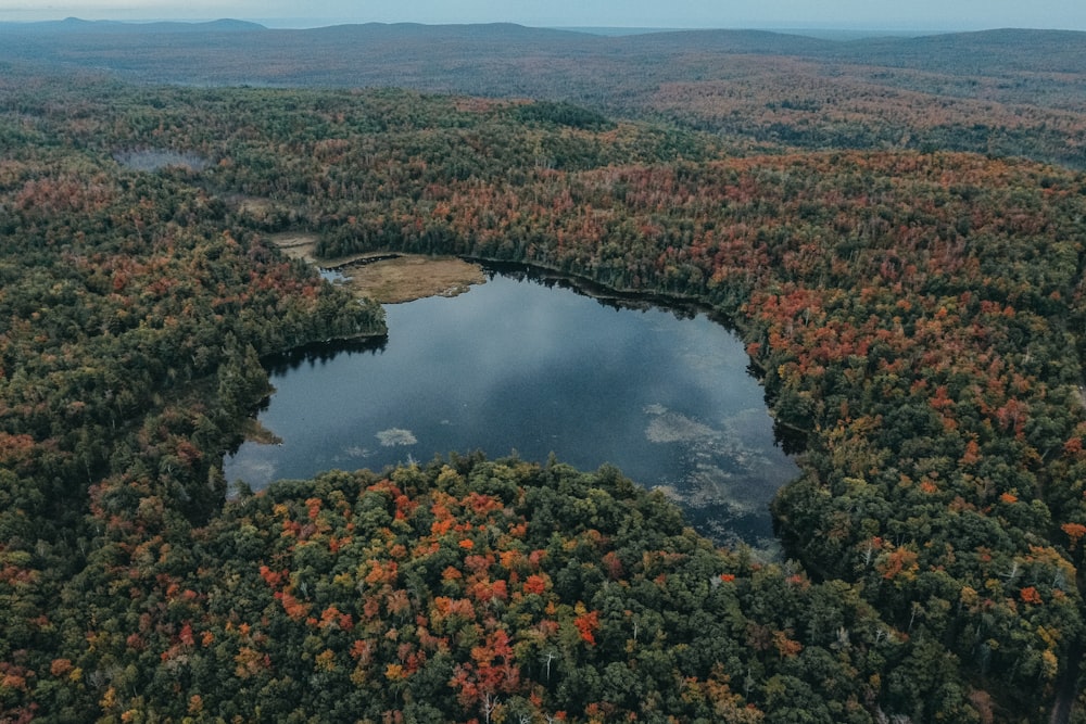 an aerial view of a lake surrounded by trees