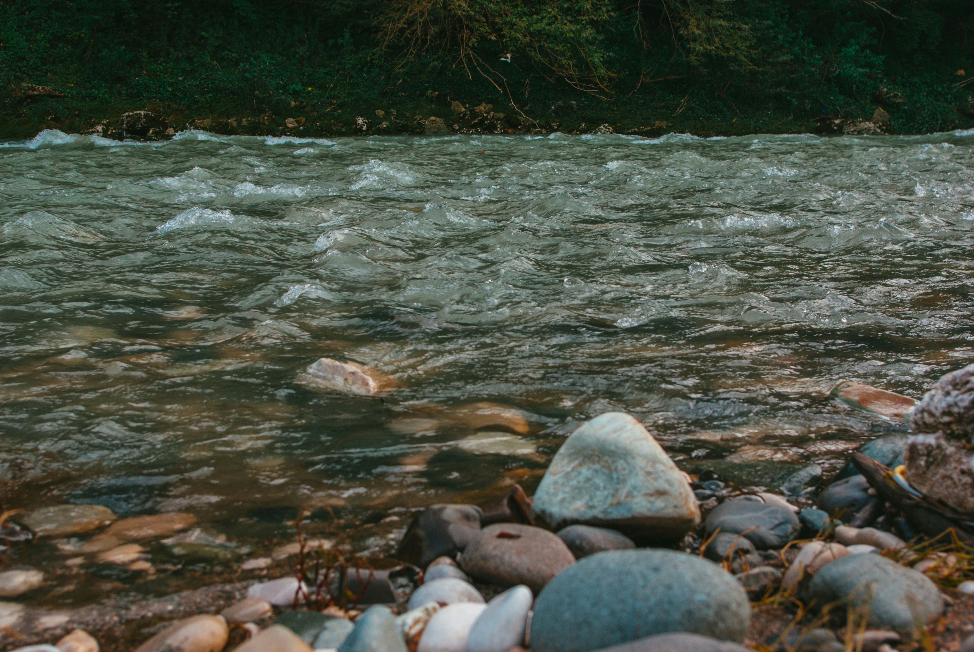 Photo by moonmoons_days