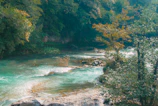 Before and after images of a river cleaned using Ecosynth’s process additives.