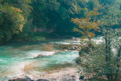 Before and after images of a river cleaned using Ecosynth’s process additives.