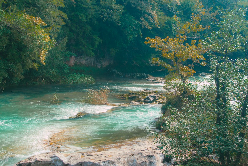 Reserva Río Claro