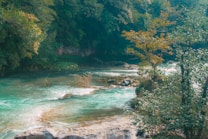 The image depicts a serene river flowing through a lush green forest. The water appears clear with a turquoise hue, gently cascading over rocks. Trees with dense foliage surround the river, and sunlight filters through, creating patches of light on the water surface.