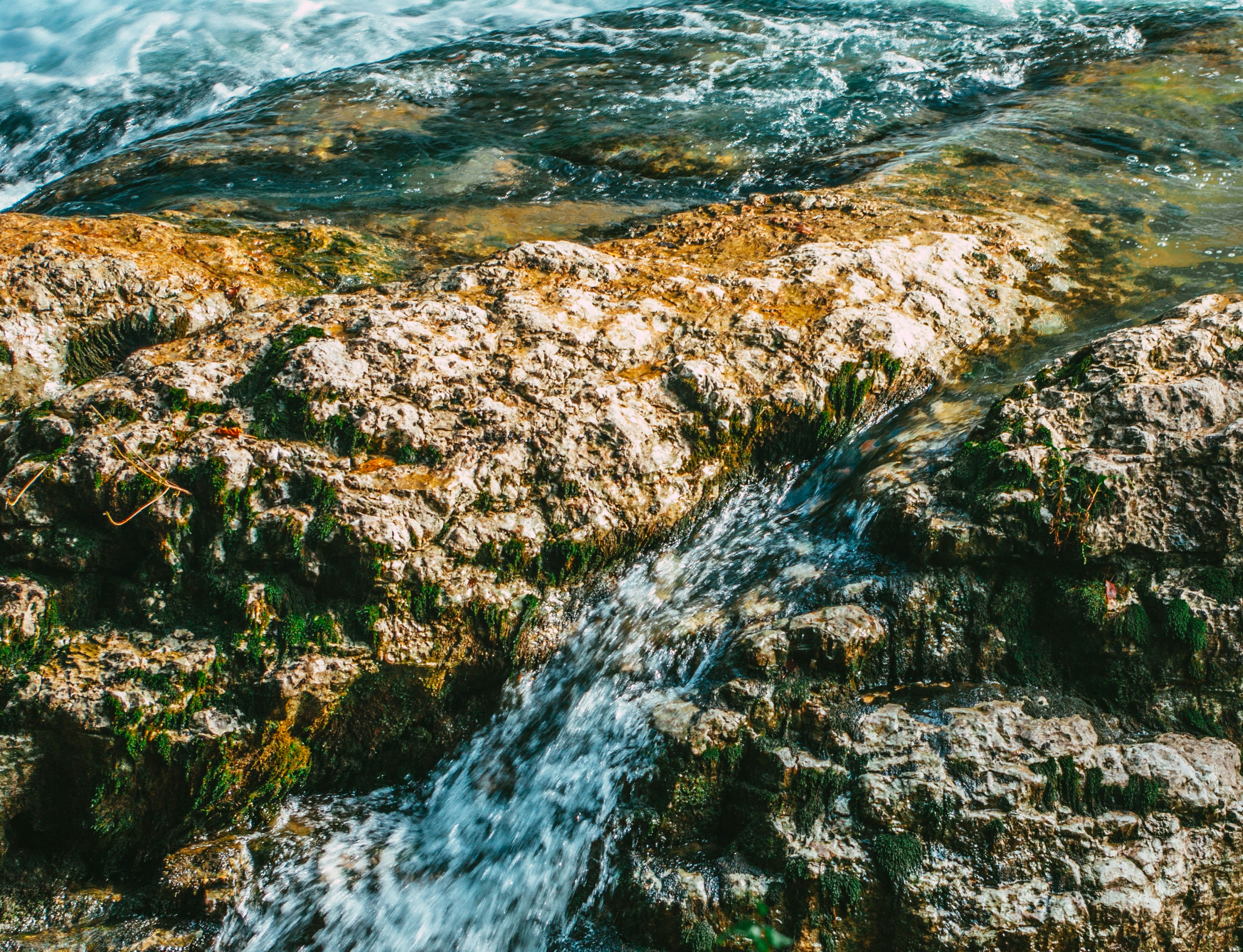 Photo by moonmoons_days