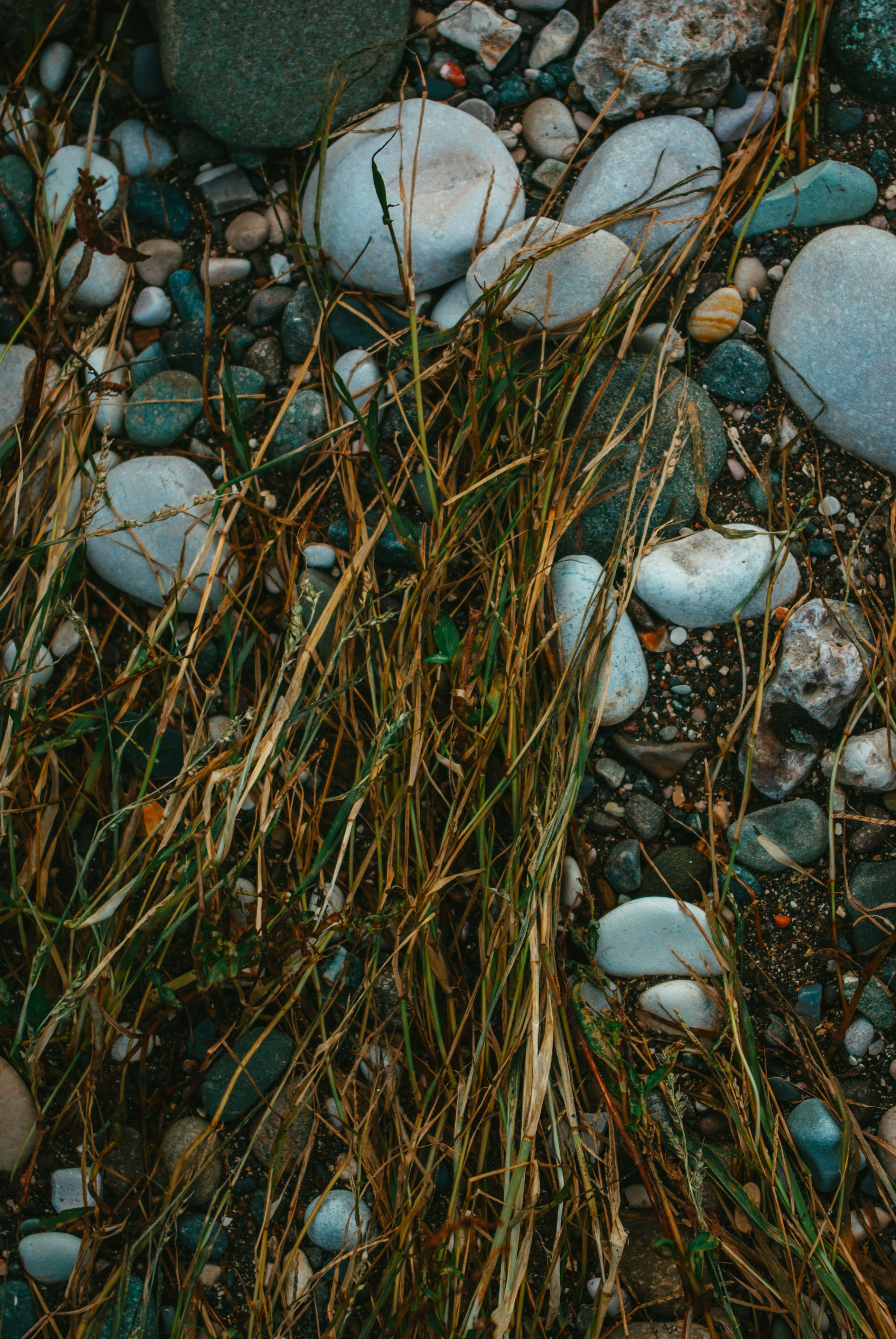 Photo by moonmoons_days